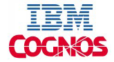Best IBM Cognos Training in Salem